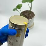 نمایی از درب و بسته بندی کوکتل پدیکور پودری رویال با پودر طلا در دست گرفته و گیاه پتوس