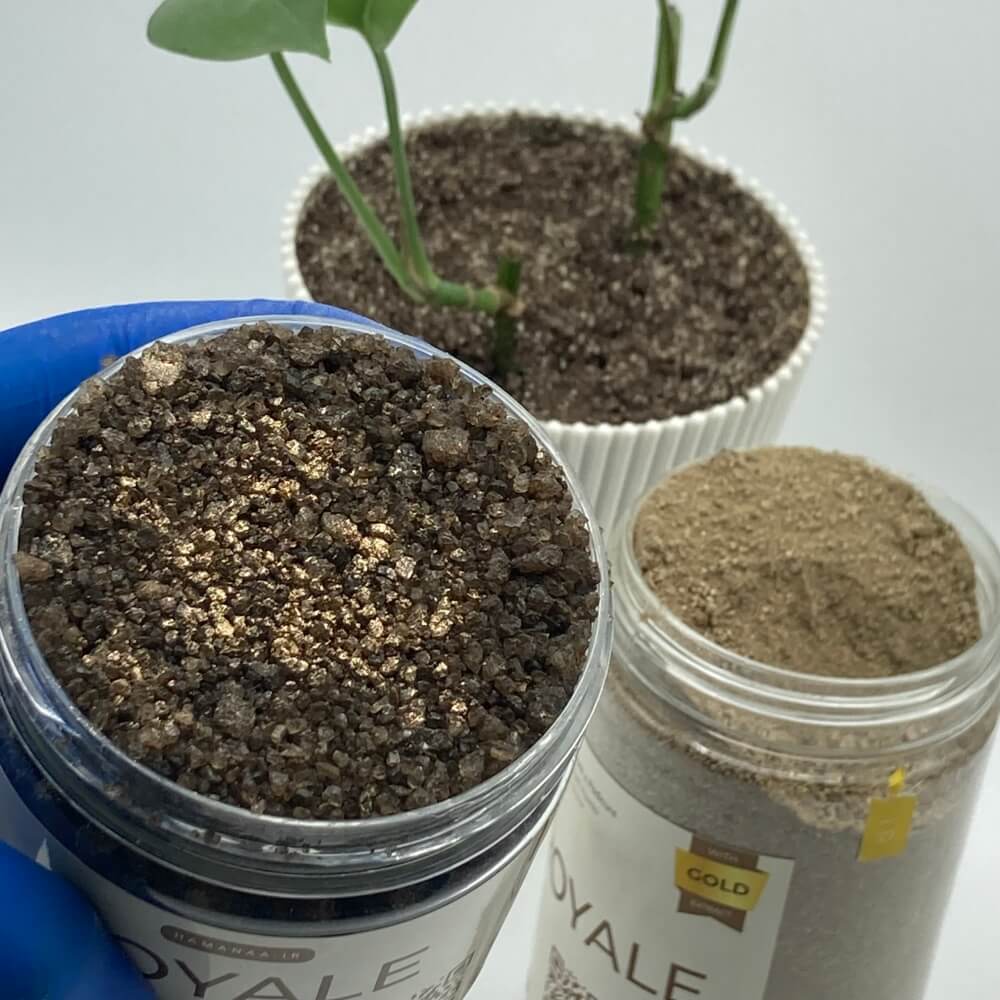 سنگ نمک حمام قهوه ای رنگ مدل رویال به همراه پودر طلا و گیاه پتوس و کوکتل پدیکور رویال