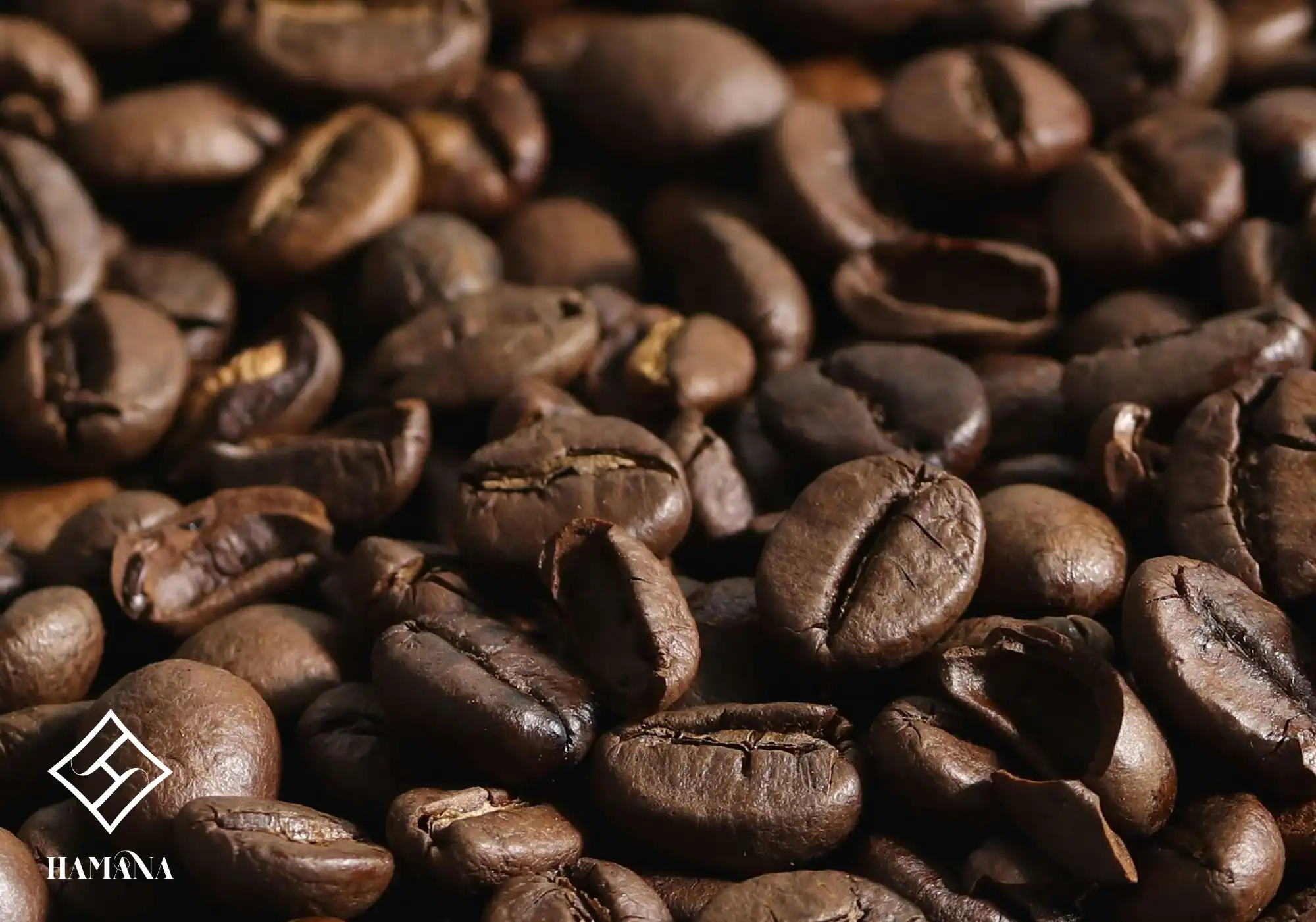 دانه های قهوه